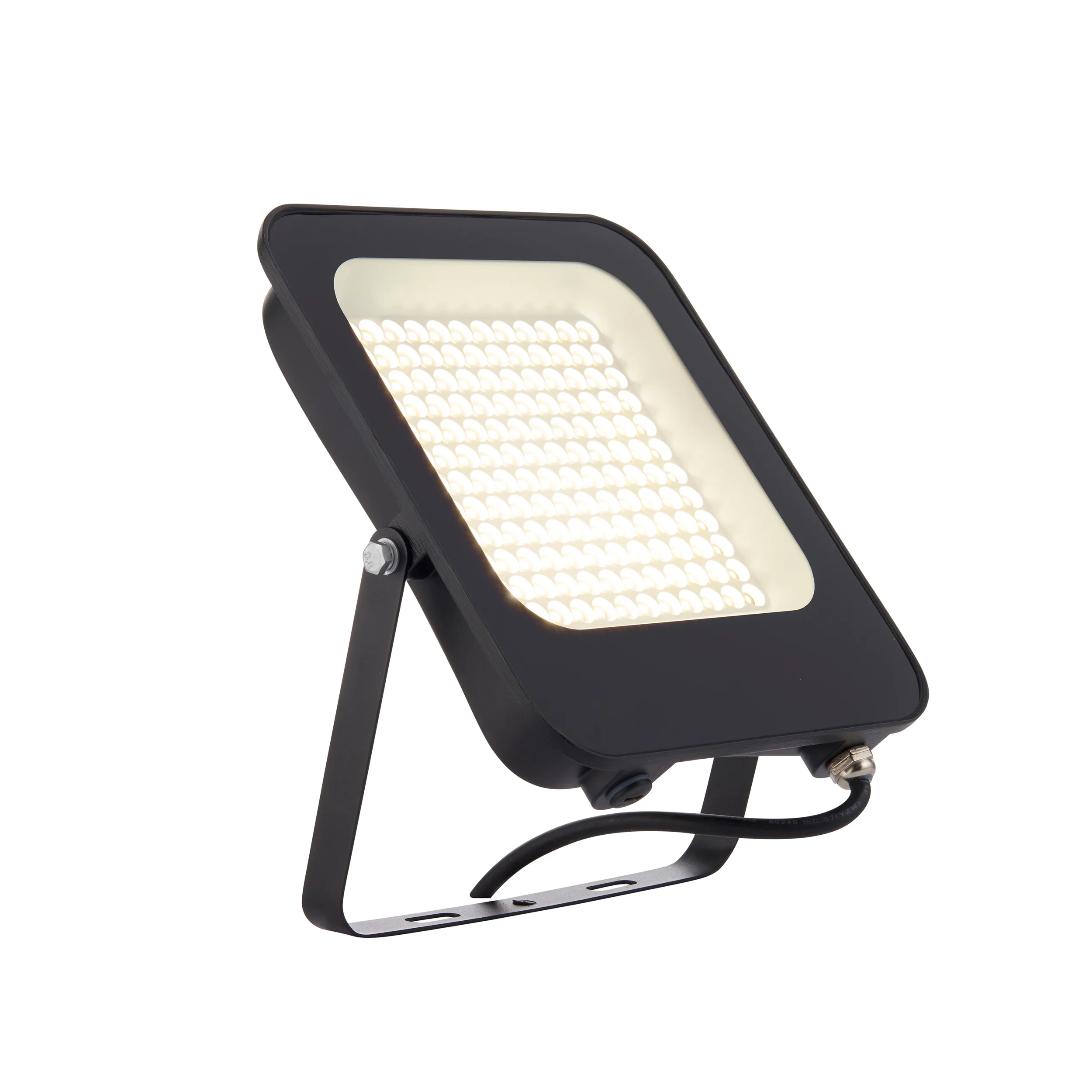 Domestic - Saxby Guard 100W IP65 100W (107636) - View 5