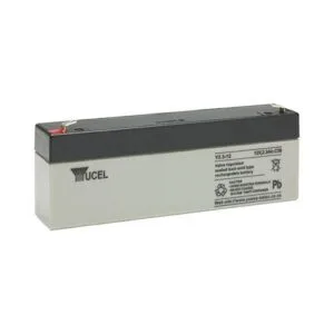 Yucel 12v 2.1ah Back Up Battery for Alarm Control Panels (Grey)