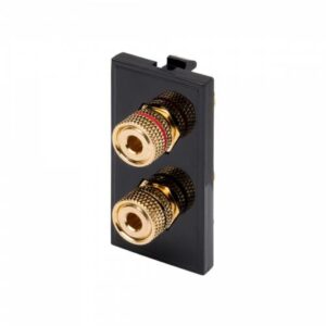Retrotouch Twin Speaker Post Module 25 x 50mm (Black)