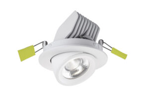 Integral Accentplus Scoop Adjustable Downlight 13.5W 1620Lm 120Lm/W 3000K No Driver