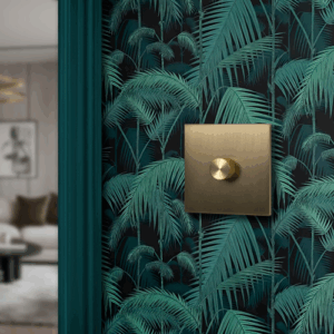 Retrotouch Aura Single Dimmer Switch - Brushed Brass With Black Knob