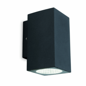 Firstlight Dino LED Single Wall Graphite