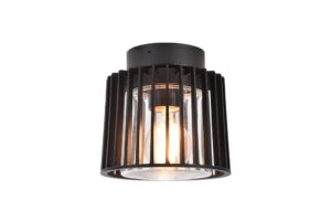 Lutec Shyne Outdoor Ceiling Light E27 Black