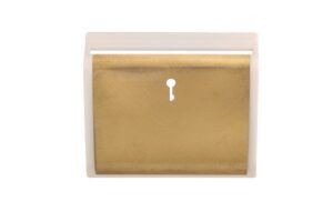 Click Scolmore - Click New Media White Satin Brass (SP620WHSB)