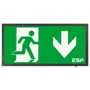 ESP EM Exit Down 3W IP20 Main