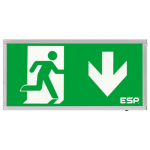 ESP 3W LED Maintained Emergency Chrome Sign DOWN
