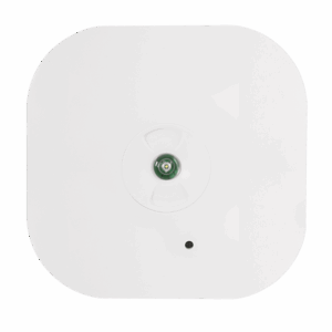 ESP EM Downlight Self-Test 3W IP44 Non-Main