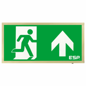 Exit Signs - ESP EM Exit Up 3W IP20 Main (D120UBR)