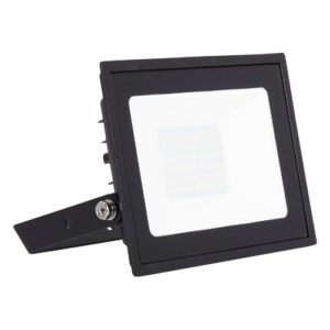 Ansell Eden Floodlight 30W Warm White