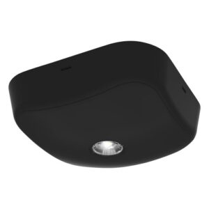 Ansell Falcon Surface Emergency Downlight IP65 Non-Maintained Black