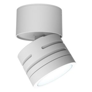 Ansell Reef CCT Adjustable Surface Downlight White
