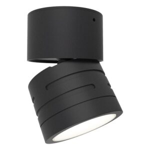 Ansell Reef CCT Adjustable Surface Downlight Black
