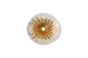 Wall Lighting - Searchlight Sunbeam 1lt Wall Light Clear and Amber Ribbed Glass (24122-1BK)