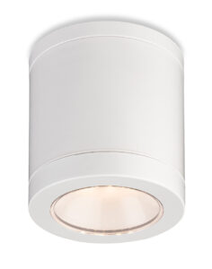 Spotlights - Firstlight Max LED Resin Flush Ceiling Light IP65 (6817WH)