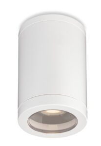 Spotlights - Firstlight Max Resin Flush Ceiling Light IP65 (6818WH)