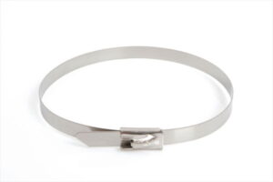 Cable Ties - TermTech 200mm Long, 4.6mm Wide, Ball Lock Tie Stainless Steel (100 Pk) (TTSS200)