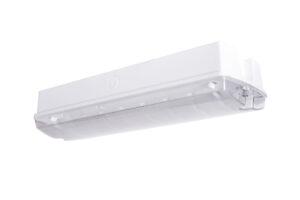 Integral Led Ip65 Emergency Bulkhead With Mains Power Operation 250Lm 4.5W 4000K